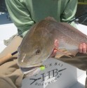 This is the happiest redfish I've ever seen!